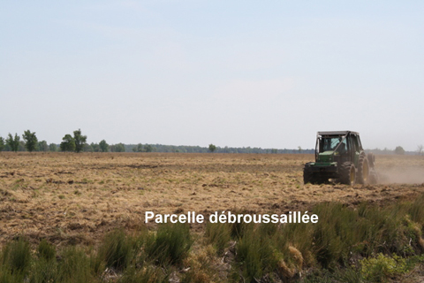 Sylviculteur en Gironde, DANIEL HOSTEIN