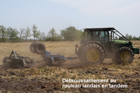 Sylviculteur en Gironde, DANIEL HOSTEIN