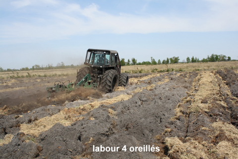 Sylviculteur en Gironde, DANIEL HOSTEIN