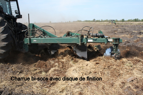 Sylviculteur en Gironde, DANIEL HOSTEIN