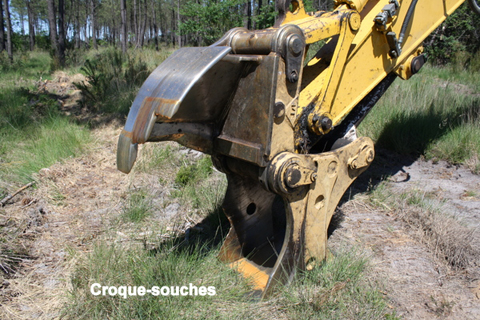 Sylviculteur en Gironde, DANIEL HOSTEIN