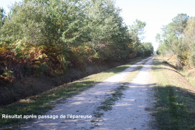 Sylviculteur en Gironde, DANIEL HOSTEIN