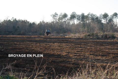 Sylviculteur en Gironde, DANIEL HOSTEIN