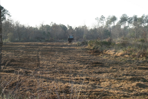 Sylviculteur en Gironde, DANIEL HOSTEIN