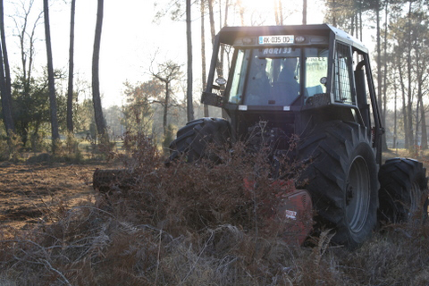 Sylviculteur en Gironde, DANIEL HOSTEIN